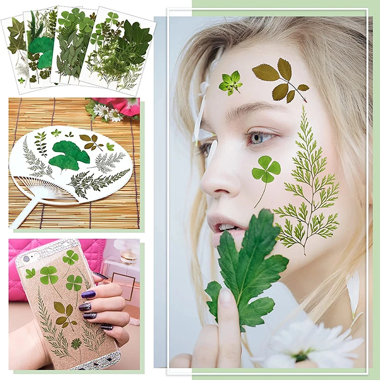 Dried Pressed Flowers Butterfly Stickers Real Natural Dry Flowers Leaves Bulk with Tweezers for resin Art Craft Supplies