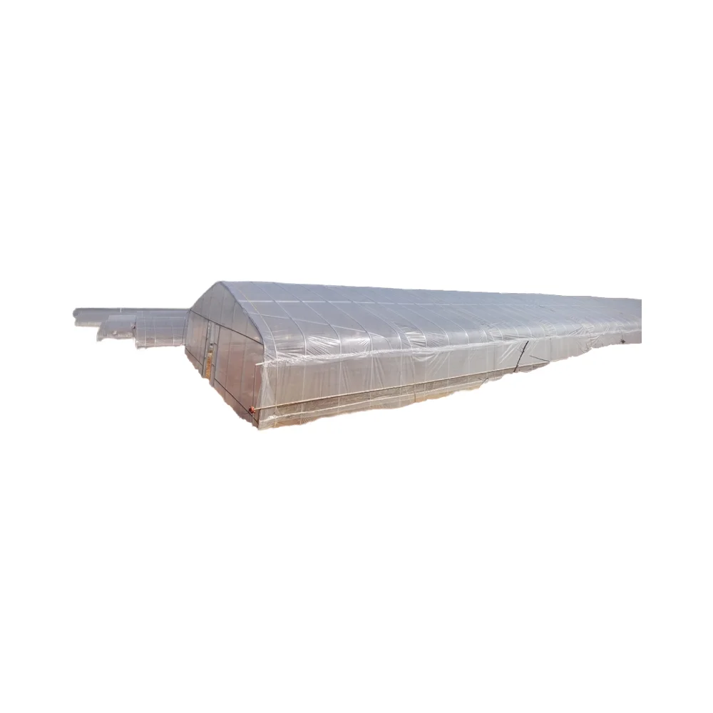 Large Single Tunnel Agricultural Plastic Greenhouse Hydroponic Strawberry Plant Factory Price Steel Plastic Film Covering
