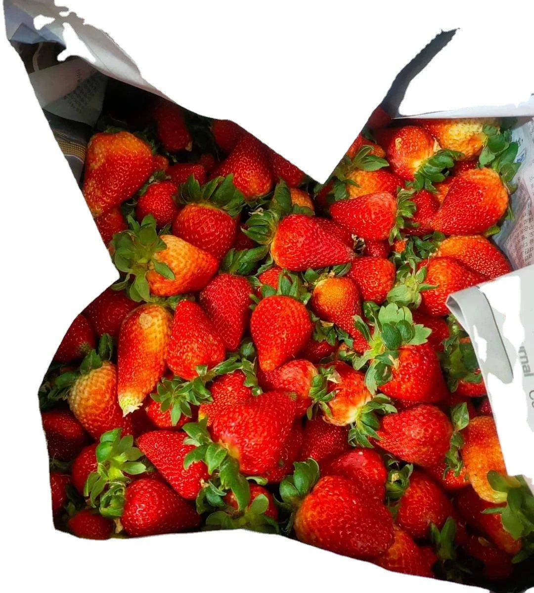 Turkish Fresh Strawberry 250 Gr Packing Strawberry Best Quality Best Price Strawberry