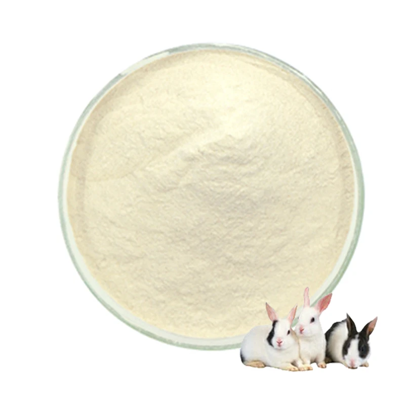 probiotics feed additive bacillus coagulans