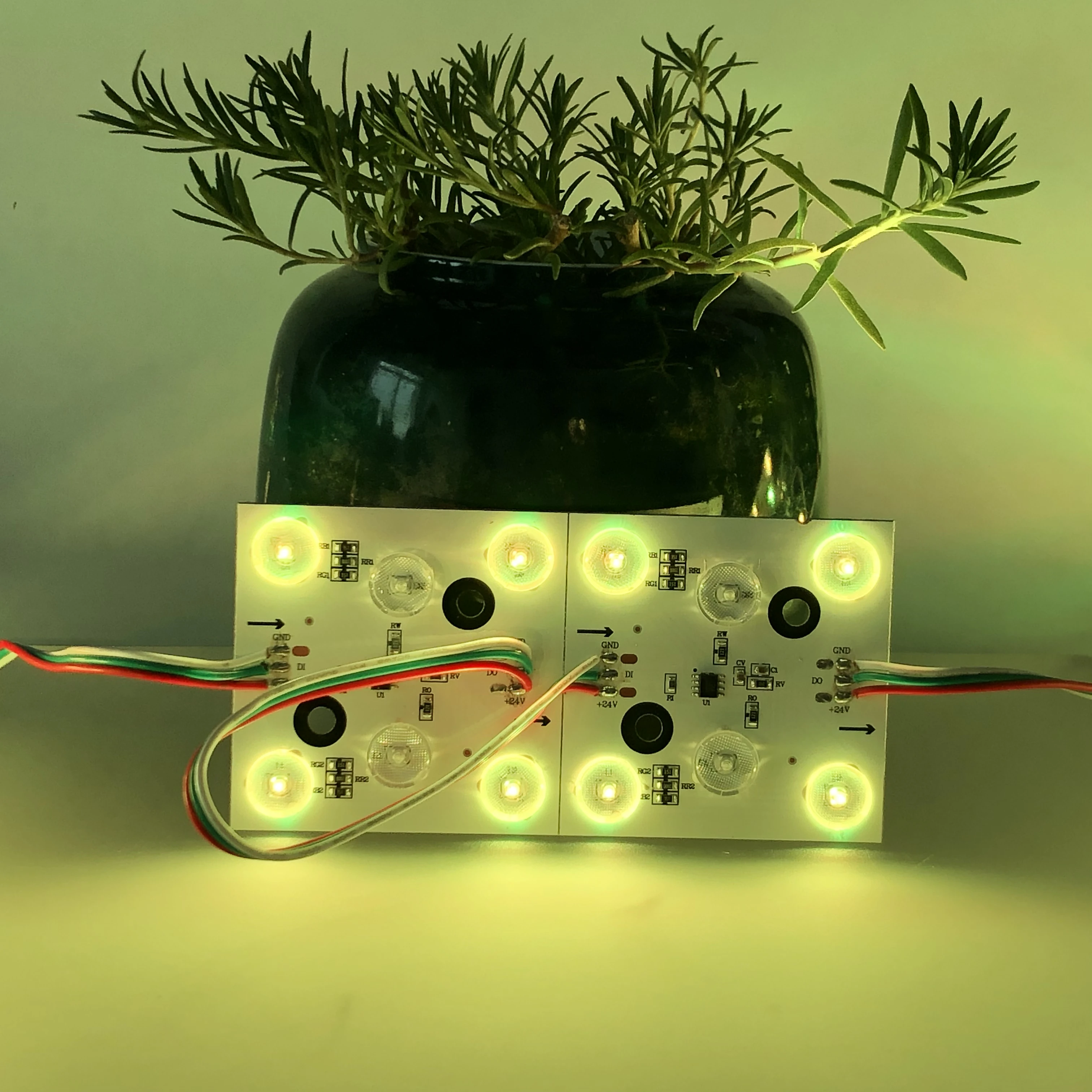 Addressable TM1814 RGBW LED Module Dream Color SPI Signal Programmable Diffused Lens 24V 90CRI for Ceiling Lightbox ad Lighting