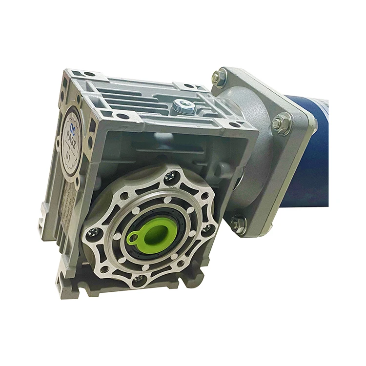 Manufacturer Well Made High Speed 3000rpm Worm Drive Dc Motor Dc Brush Worm Gear Motor