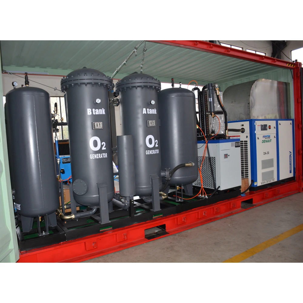 NEWTEK Container Type PSA Oxygen Generator Oxygen Making Generator Oxygen Generator System Equipment