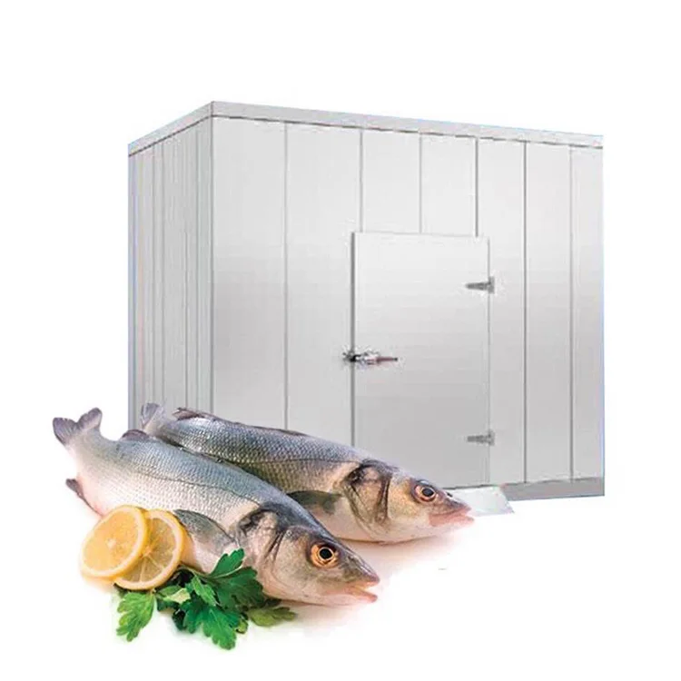
Energy efficient 3HP Emerson Copeland manufacturer cool rooms and cold room freezer and storage for fish and meat 