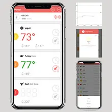 INKBIRD IBT-2X Wireless Digital LED Meat grilling Oven thermometer with two probes BT 5.0 smart food thermometer