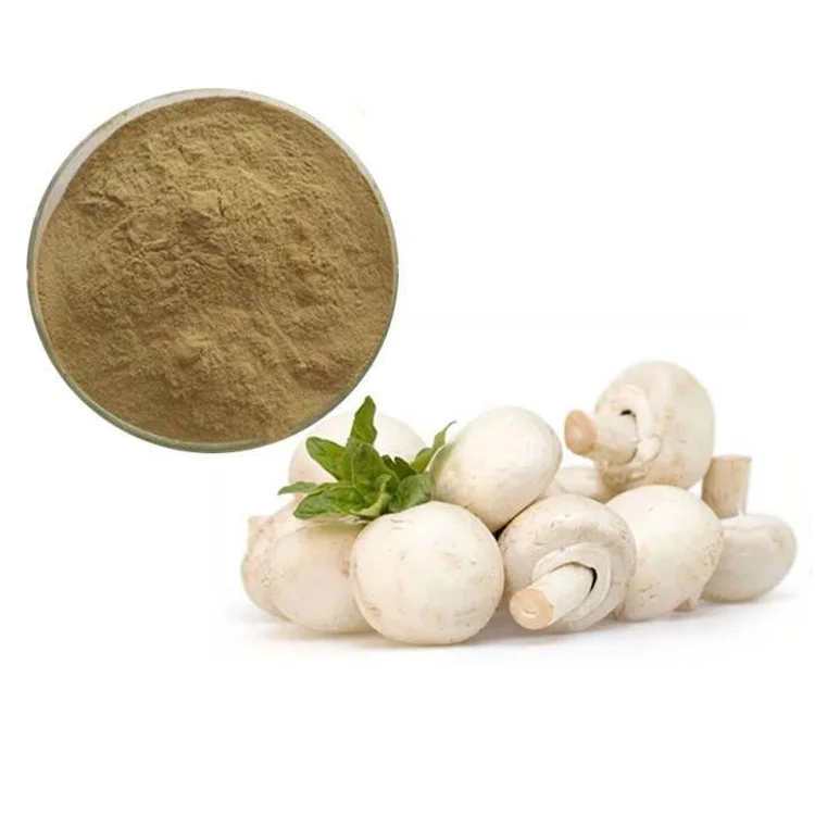 hot sale Organic white mushroom,button mushroom,Agaricus Bisporus