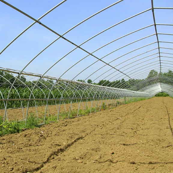 Hot Sale In Europe and America Solar Agricultural Greenhouse Structure Plastic Film Multi span Greenhouse