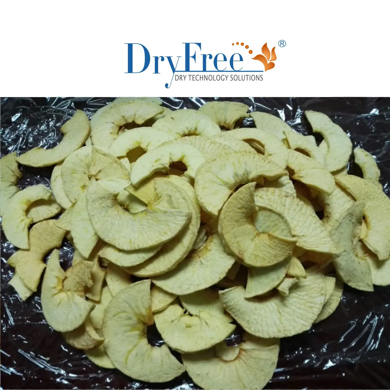 High Efficiency Good Quality Multifunction heat pump fruit dehydrator corn coconut  plum dryer machine