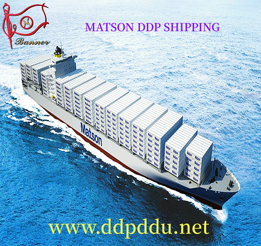 FCL LCL sea shipping  CIF FOB  booking agent  from ShenZhen GuangZhou  ShangHai Ningbo QingDao  TianJin to USA  Canada  Mexico