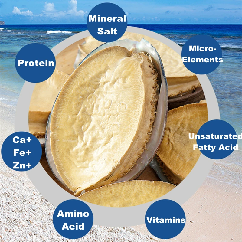 Hot Selling Good Quality Nutritious Shellfish Dried Abalone with Best Price