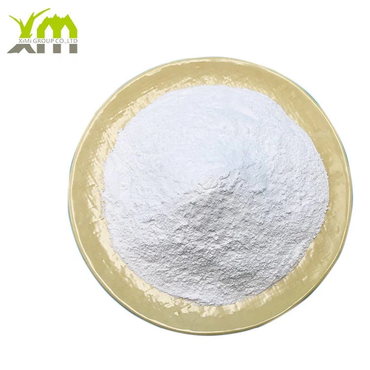Premium Food Grade Calcium Carbonate HS Code 28365000: Ultrafine Powder for Multiple Applications
