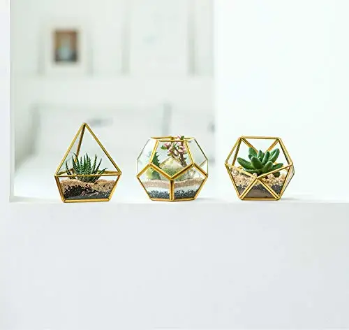 Triangle Shape Home Decorative Hanging Succulent Plants Glass Box Geometric Terrarium