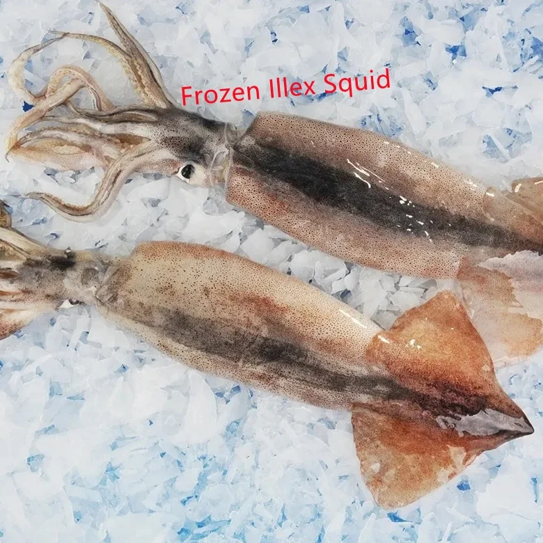 Hot Sale Export China Different Size Black Squid Frozen Seafood Bait 100150g Illex Fish Supplied Red Loligo With High Quality