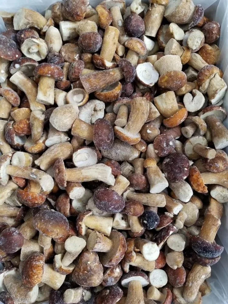 Factory Price Premium Quality Bulk Frozen Boletus Edulis Whole 2-4CM