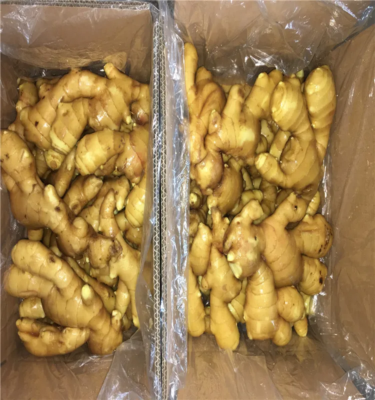 China  air dry  ginger 150g-300g