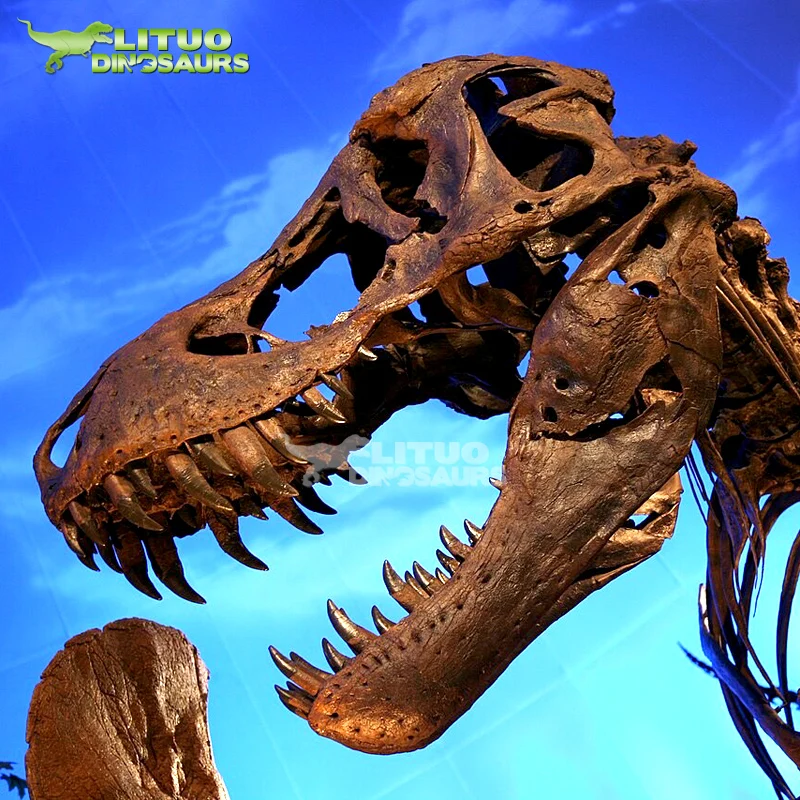 Life Size Dinosaur Skull of T-rex