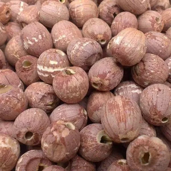 YINING OEM Available Factory Price Dried Lotus Seed cored for Cooking