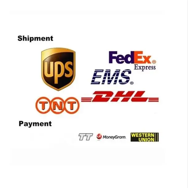 2024 China Factory Directly Supply Electric Mobilty Scooter best price