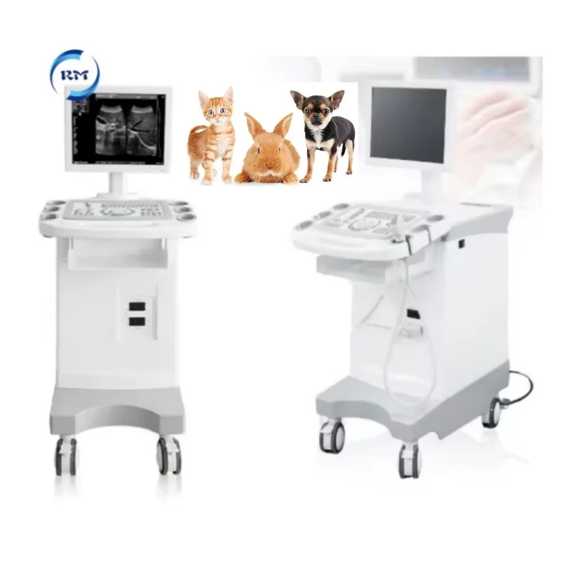 Veterinary Animal Trolley BW Ultrasound Diagnostic System ultrasound machine With Accessories