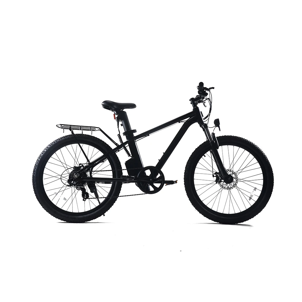 High Quality ebike Chinese Manufacturer Customized 10.4Ah Electric Bike 250W Electric Bicycle mountain Bike