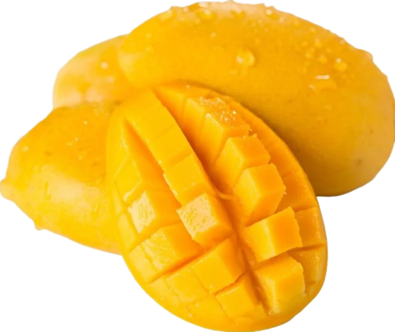 Food Additives freeze dried mango powder mango seed powder