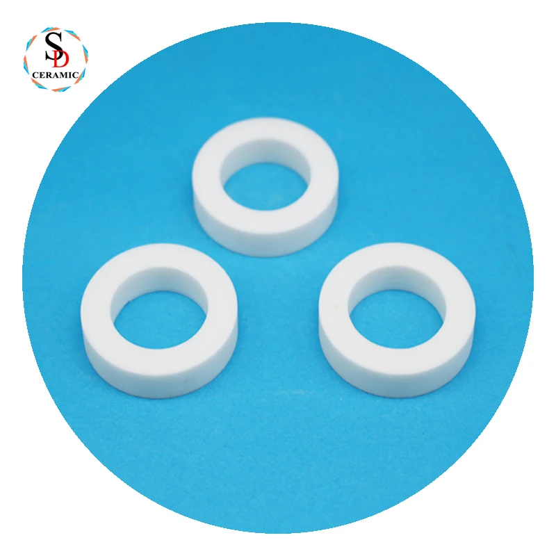 High Purity 95%/99% Al2O3 Alumina Engineering Ceramic Ring Manufacturers