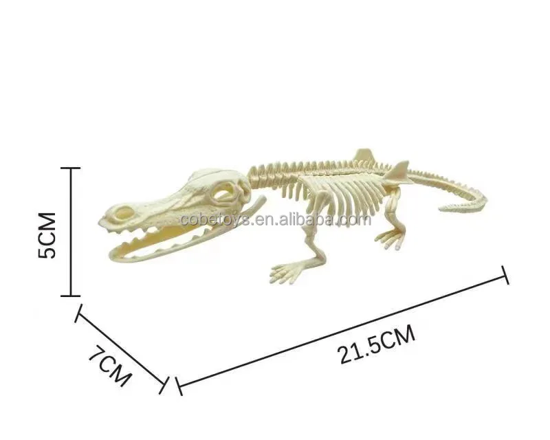 Fossil Dinosaur Animal Educational Toy Dinosaur Model Tyrannosaurus Rex Assembled