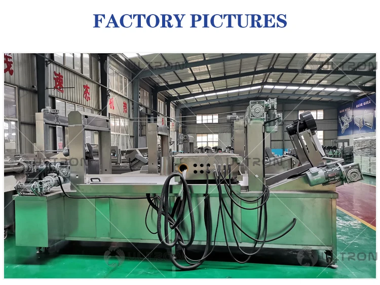 Crispy Fried Onion Rings Broad Beans Frying Production Line Chicken French Fries