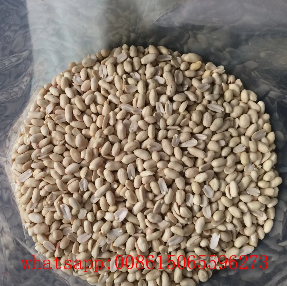 Chinese  Shandong blanched peanuts kernels 25/29  29/33 35/39