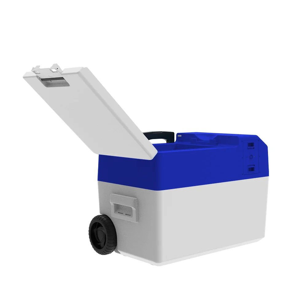 Small capacity Microprocessor fridge Control LED Display Freezer mini cold storage cooler For Lab And Hospital