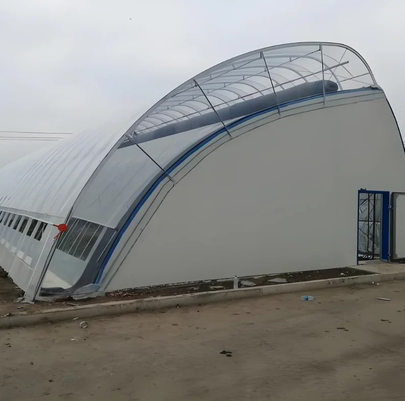 Chinese Style Arched Low Cost Drip Irrigation System Greenhouse  Winter Warm solar Greenhouse