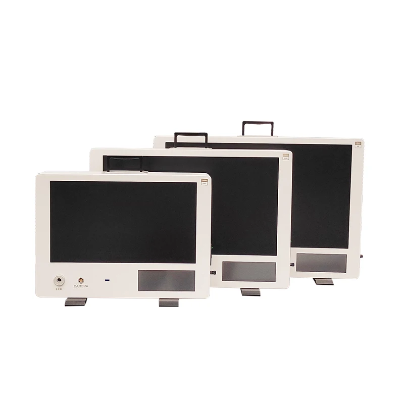 2K 4K Compact integrated Endoscopy camera system for endoscopic surgery