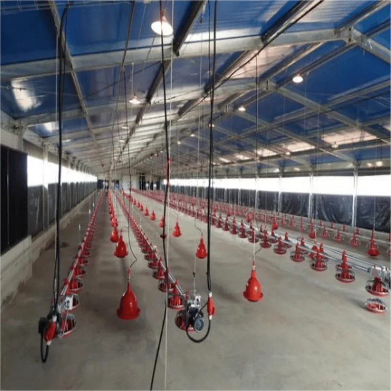 Chicken coop steel structure waterproof dog rabbit coop factory direct sales