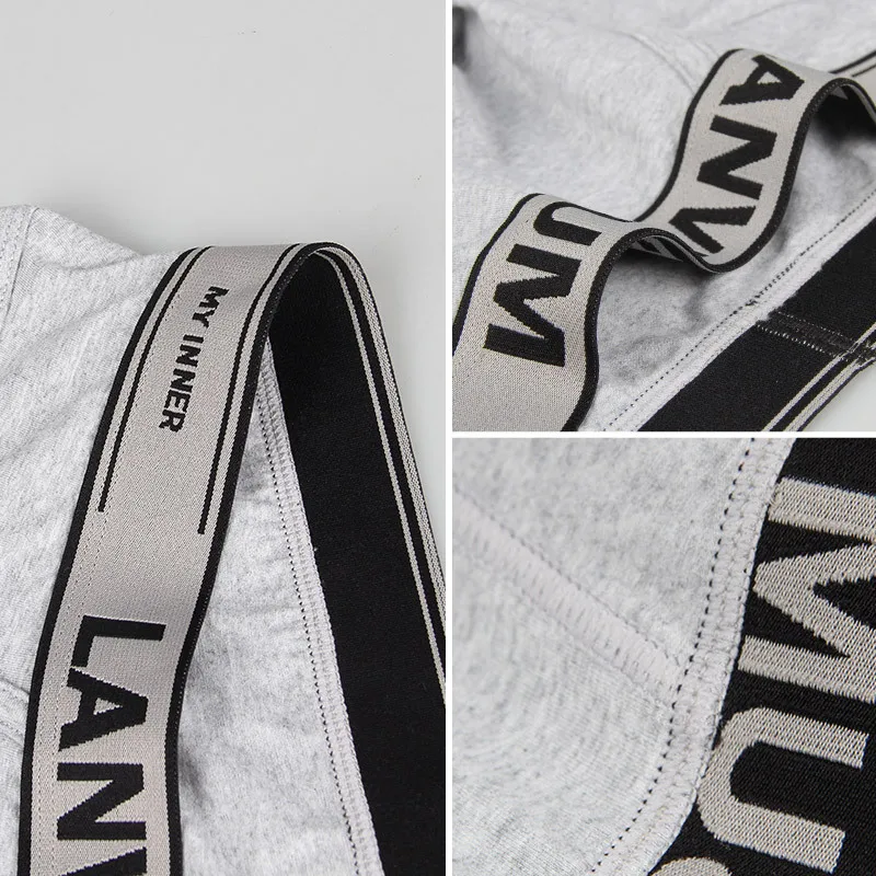 Manufacturers European And American Boys Cotton Underwear Mid-waist Large Size Sexy Thong For Men