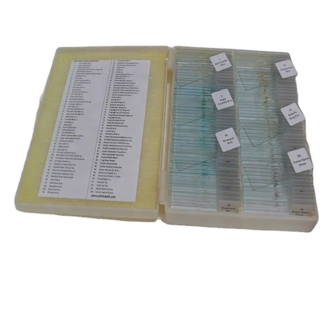 Medical Microbiology Slides Microscope Slides 100pcs Educational Prepared Slides Medical Microbiology Education