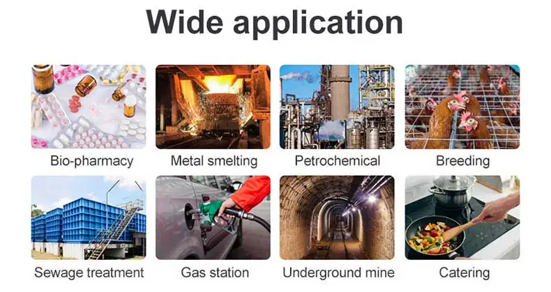 Gas Detector Rechargeable Portable 4 in 1 Gas Clip 4-Gas Monitor Meter Tester Analyzer Sound Light Shock