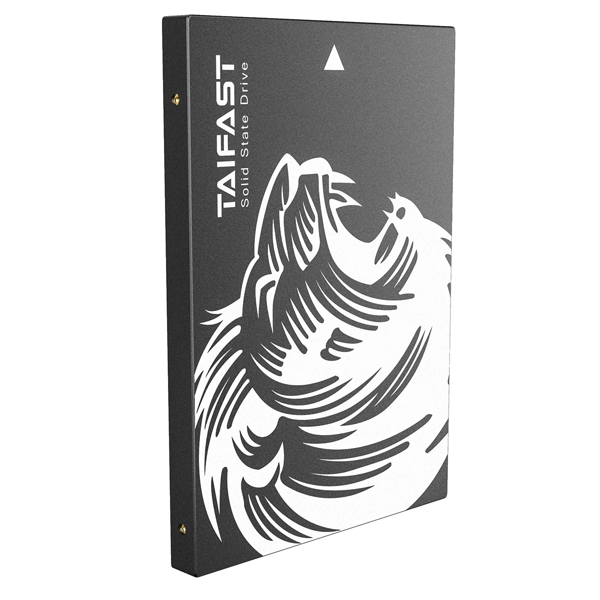 Taifast 120gb 240gb 256gb 512gb 1tb ssd 2.5 inch SSD Sata3 hard disk for laptop desktop computer Internal solid state drive