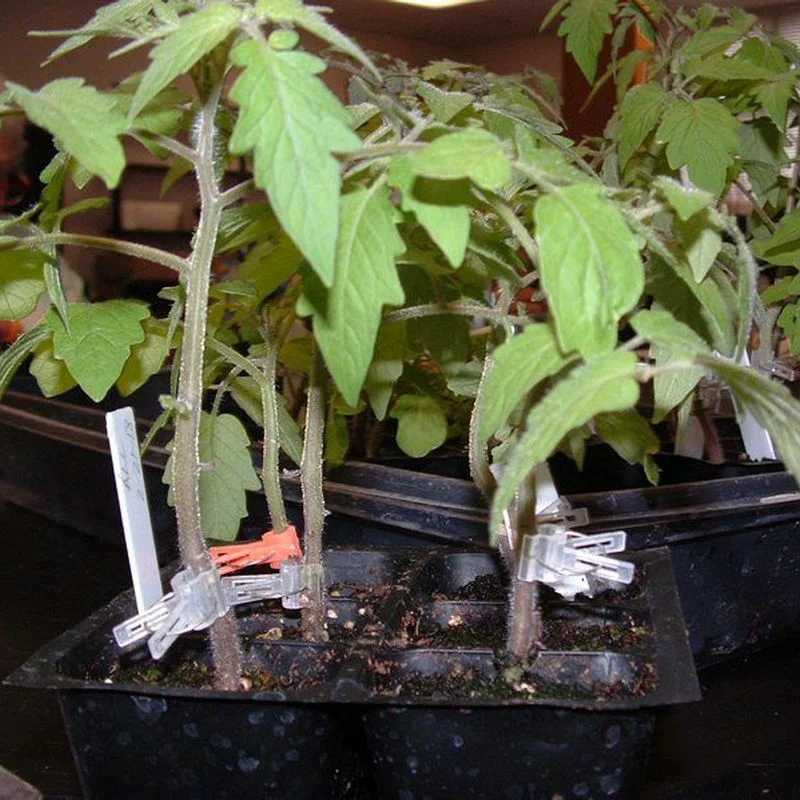 Сельскохозяйственная пластиковая продукция по удивительной цене, полипропиленовая наземная крышка, литье, арбуз, помидоры, огурец, дыня