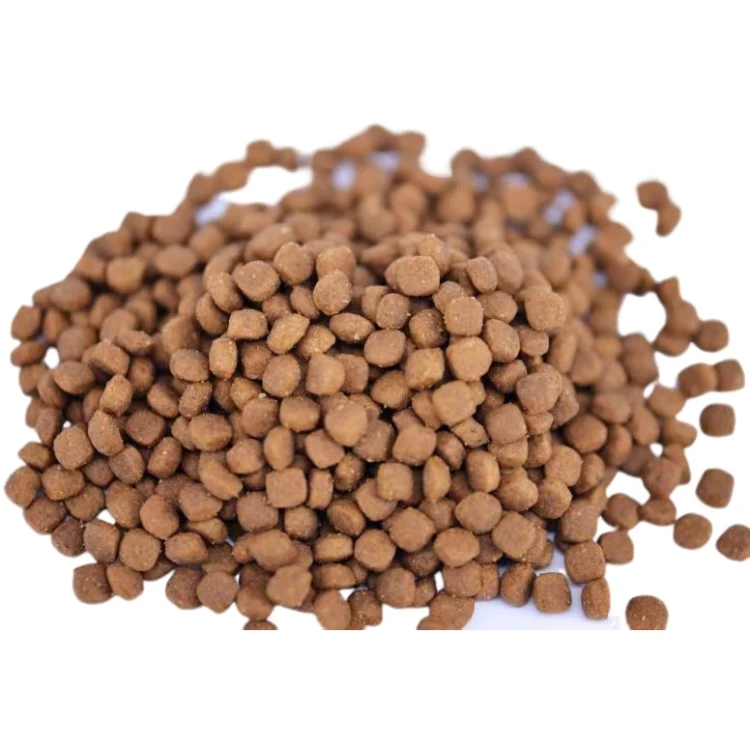 Healthy High quality grain free dog food hills dog food home made dog food recipe