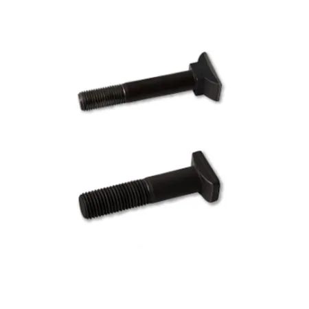 Rail Track Wholesale Coating Plain Hot Dip Impregnation T Bolts
