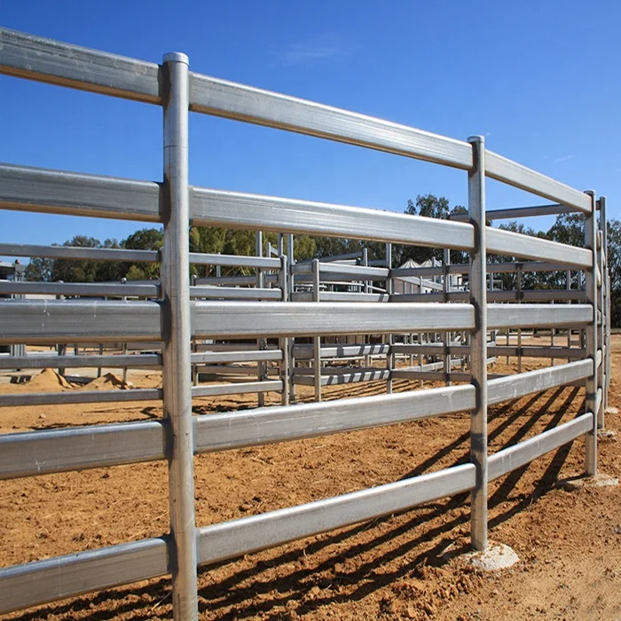 Heavy Duty Cattle Handling Equipment sheep cattle enclosure vet cattle cage