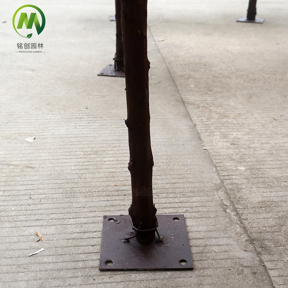 cherry blossom tree table for wedding  Silk flower tree artificial cherry blossom tree for wedding dining-table decoration