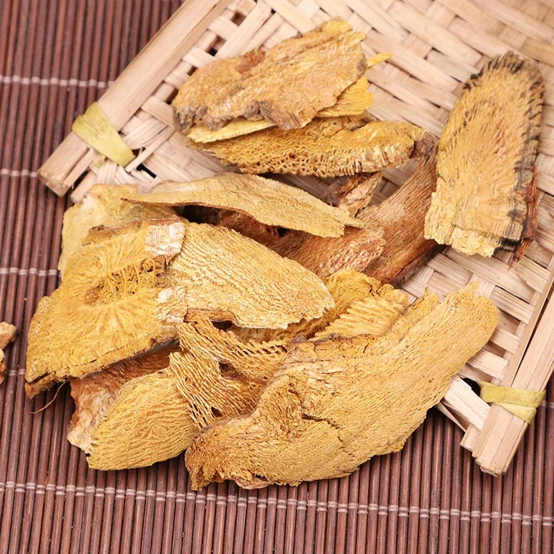 Hu Zhang Polygonum cuspidatum