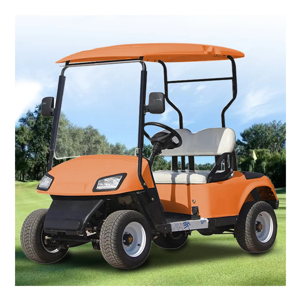 EPA Certified gas powered 2 passenger golf cart with petrol engine for sale