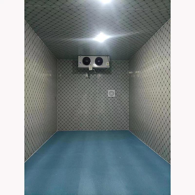 Factory Direct Supply,Fruit And Vegetable Fresh-keeping Container,Cold Storage Room