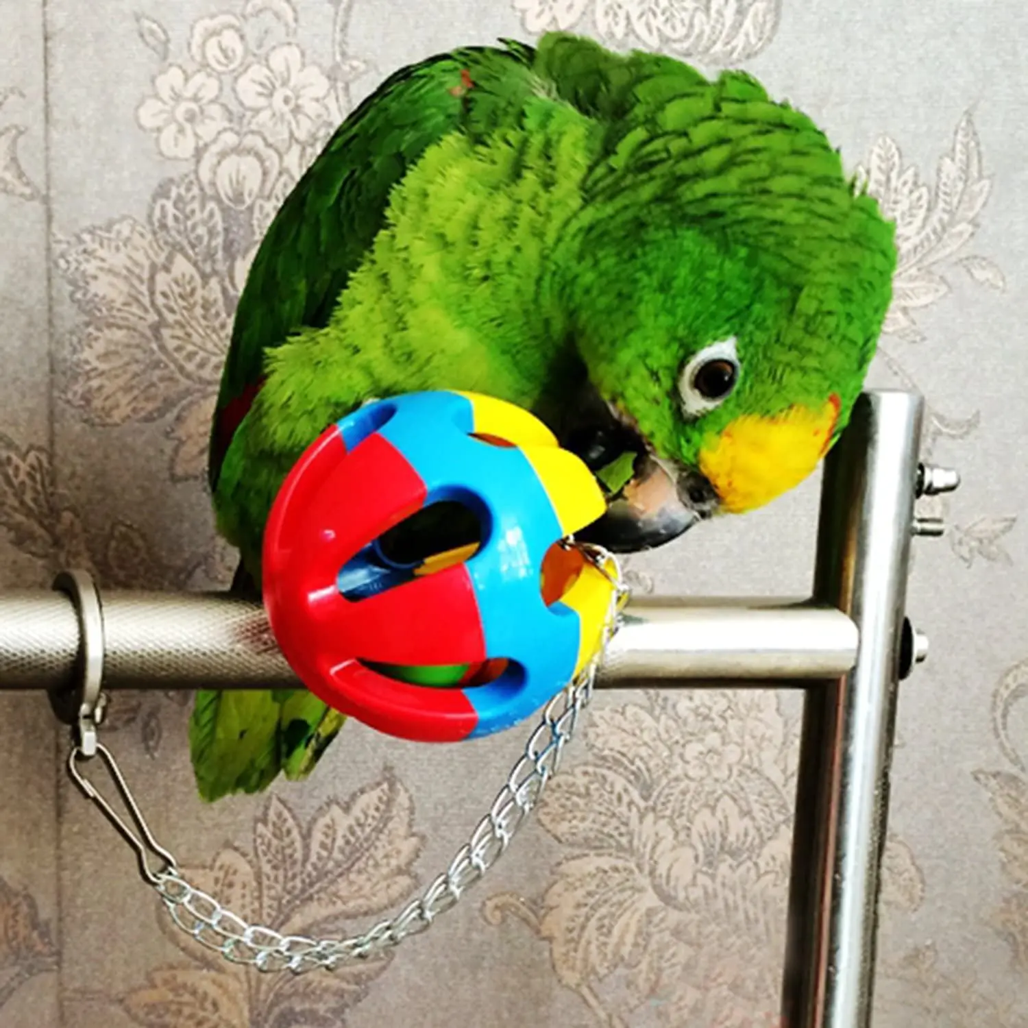 Bird Swing Chewing Toys- Parrot Hammock Bell Toys Suitable for Small Parakeets