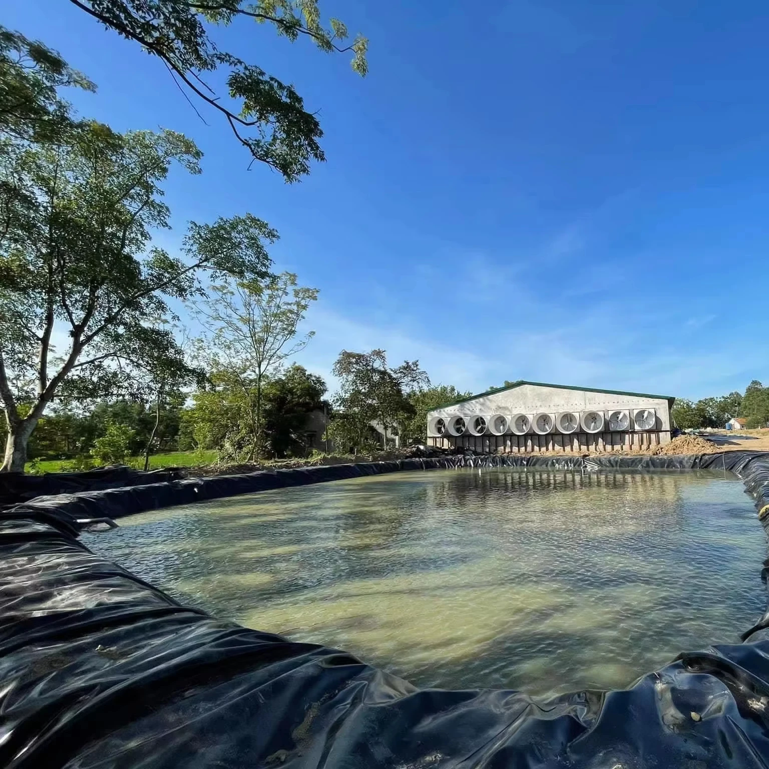 1mm 2mm Waterproof Geo Membrane Plastic Artificial Lake Tank Dam Lining Swimming Pool Fish Farm Pond Liner