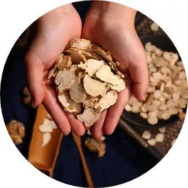 raw chinese herbs Radix codonopsis pilosula dang shen
