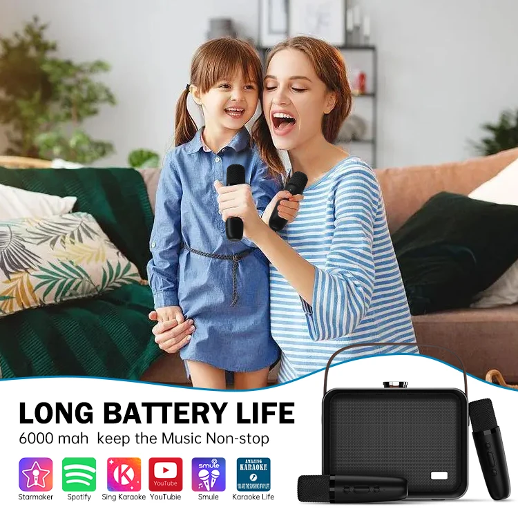 Vintage Bluetooth Speakers Leather Portable Wireless Speaker Bluetooth 5.3 Karaoke Players Outdoor Speakers with Microphones