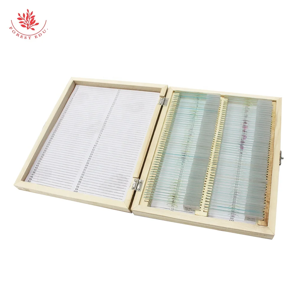 Microscope Slides Wood Box 100Places Prepared Slides Laboratory Storage Box Pine Wooden